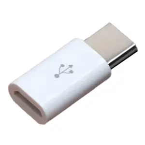 Micro USB-B Female to USB-C Male Adapter for Pi 4 (White)