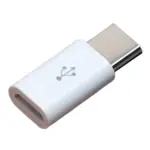 Micro USB-B Female to USB-C Male Adapter for Pi 4 (White)