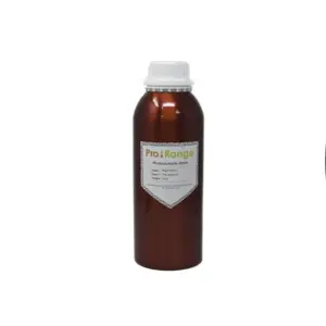 Pro-Range Rigid Resin 1Kg Transparent 405nm