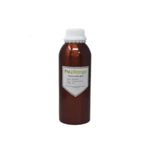 Pro-Range Rigid Resin 1Kg - Transparent Green