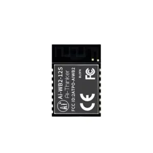 AI-Thinker Ai-WB2-12S Wi-Fi & BLE 5.0 Module