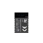 AI-Thinker Ai-WB2-12S Wi-Fi & BLE 5.0 Module
