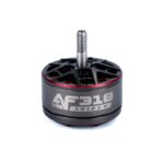 AxisFlying AF310 3010 Brushless Motor 1010KV