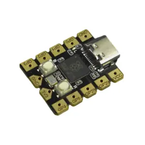 DFRobot Beetle RP2040 Mini Development Board