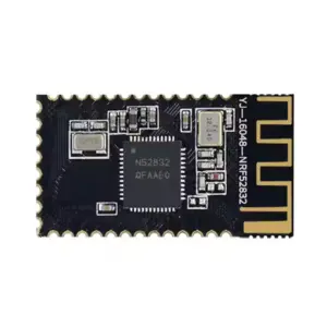 Holyiot 16048 nRF52832 IoT Wireless Transceiver Module