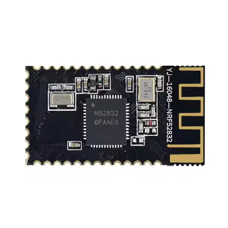 Holyiot 16048 nRF52832 IoT Wireless Transceiver Module