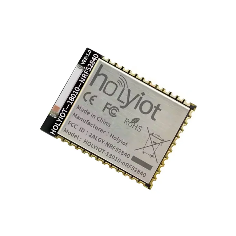 Holyiot 18010 nRF52840 BLE Module w/ Bluetooth 5, Zigbee & Thread - Image 2