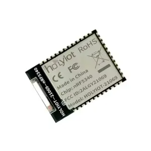 Holyiot 21069 nRF5340 Ultra-Low Power Wireless Module