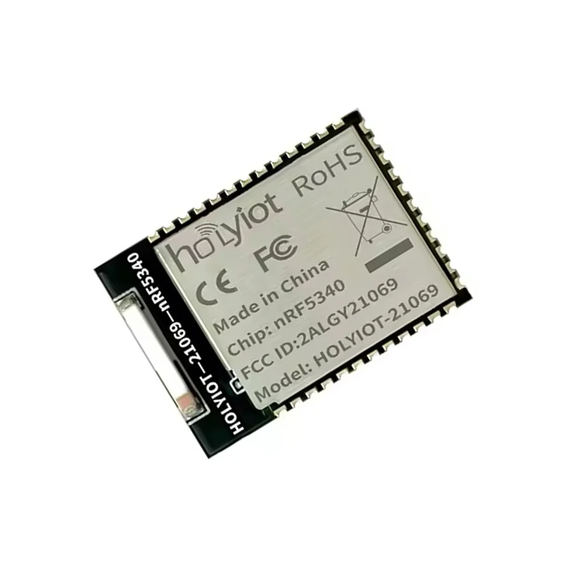 Holyiot 21069 nRF5340 Ultra-Low Power Wireless Module