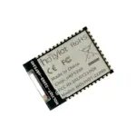 Holyiot 21069 nRF5340 Ultra-Low Power Wireless Module