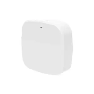 Holyiot Logger L1 BLE 5.1 Environmental Sensor Data Logger