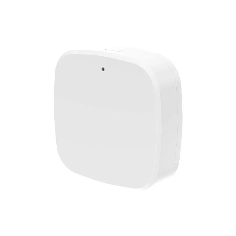 Holyiot Logger L1 BLE 5.1 Environmental Sensor Data Logger