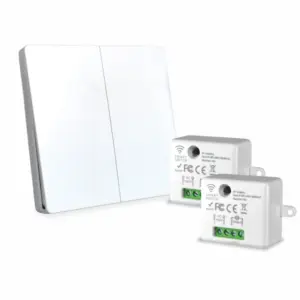 SWYAM Self-Powered Kinetic RF Switch 2 Gang 2 Receiver
