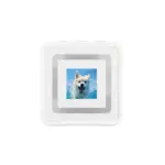 Waveshare ESP32-C6 0.85-Inch LCD Display AIoT Dev Board