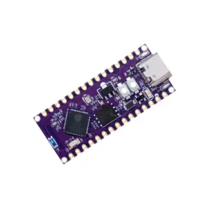 Wireless-Tag ESP32-Nano WT9932S3-NANO ESP32-S3R8 DevKit