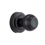 PST-Q1 Tuya Smart Bluetooth Door Knob Fingerprint Door Lock - 4 Unlock Modes, App Control