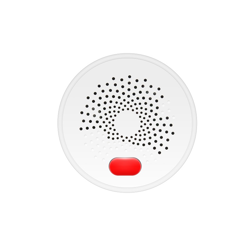 PST RQ400A Tuya Smart WiFi Natural Gas (CH4) Sensor - Image 4