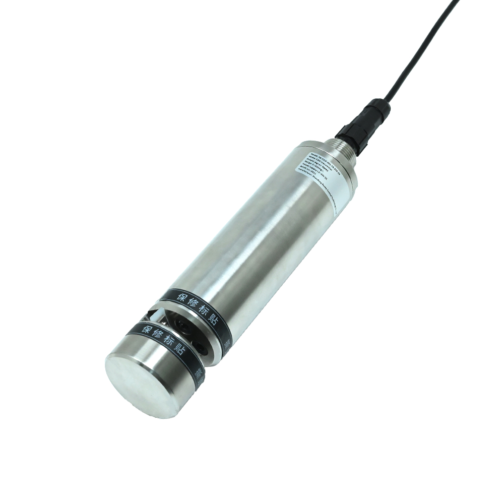 Renke RS-COD-N01-2-500-EX COD Sensor, 0-500 mg/L, RS485 Modbus, IP68 Waterproof