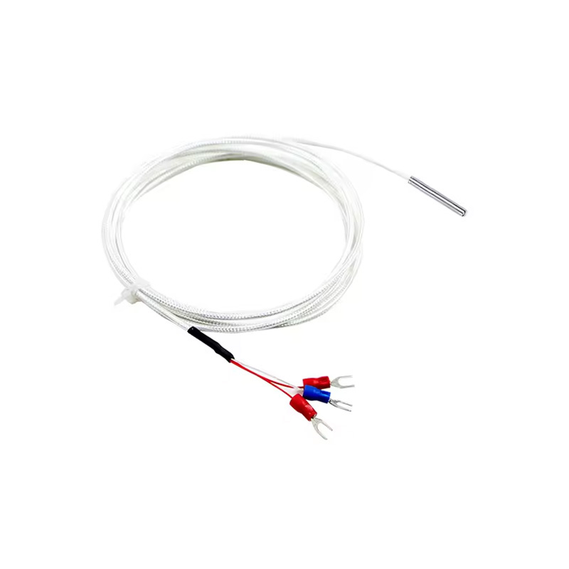 XIQI Electric CG-WZP-035 PT100 RTD Sensor, 5x30mm Stainless Steel Probe, 0.5m Three-Wire PTFE Cable - Image 2